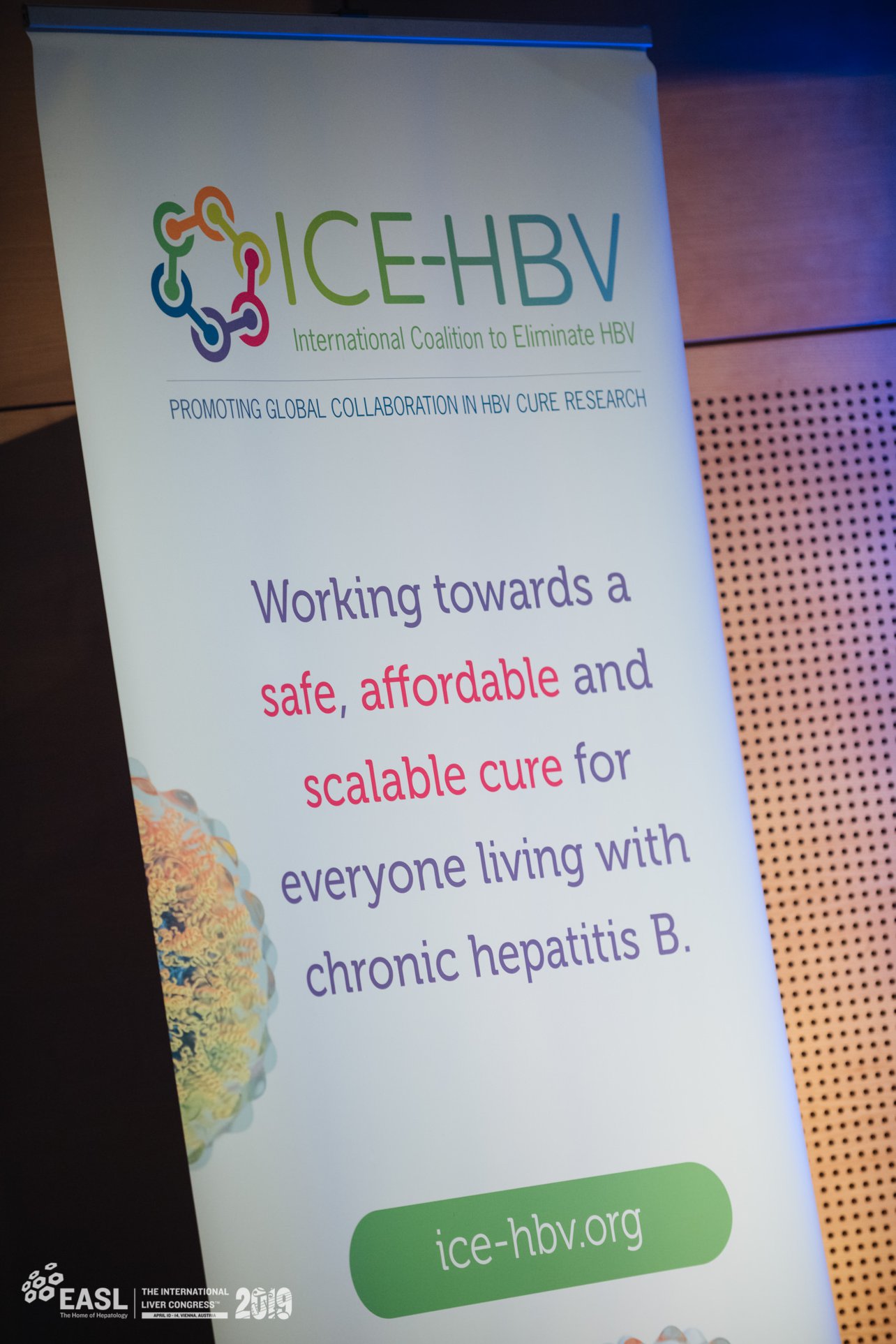 A Global Scientific Strategy To Cure Hepatitis B Relevant Documents Ice Hbv